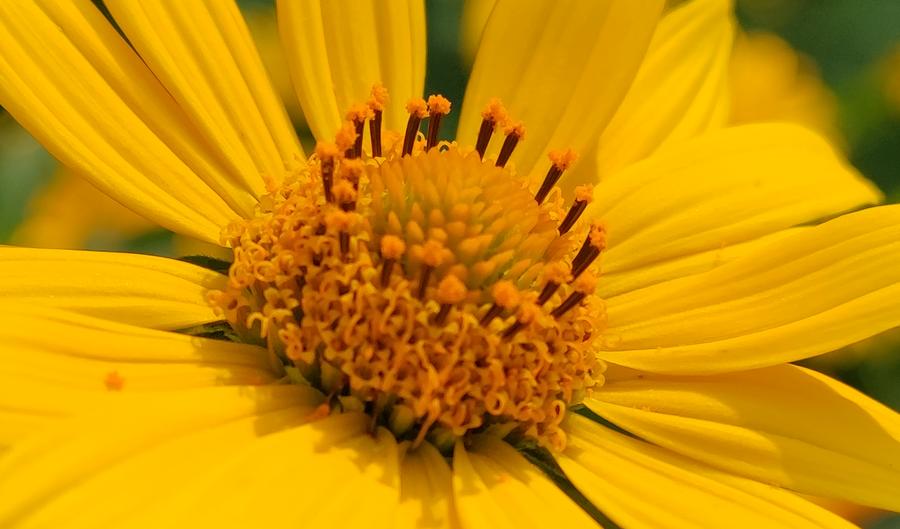 小米mix4屏幕深度评测,小米11ultra与mix4比较