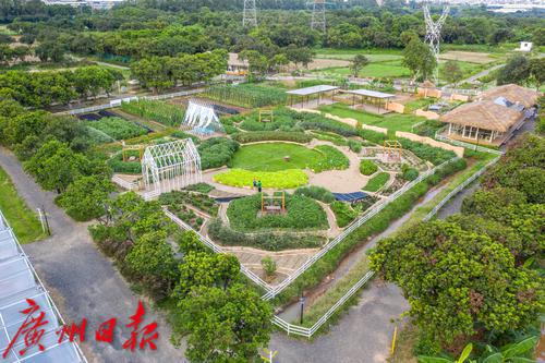 广州海珠区农田园,广州大都市农业园
