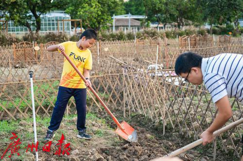 广州海珠区农田园,广州大都市农业园