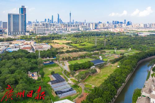 广州海珠区农田园,广州大都市农业园