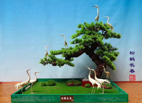 南天竹编织盆景,竹丝可以做成哪些成品