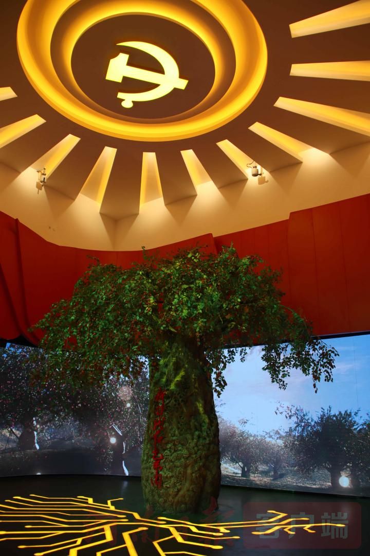 新郑枣乡在哪里,新郑枣乡