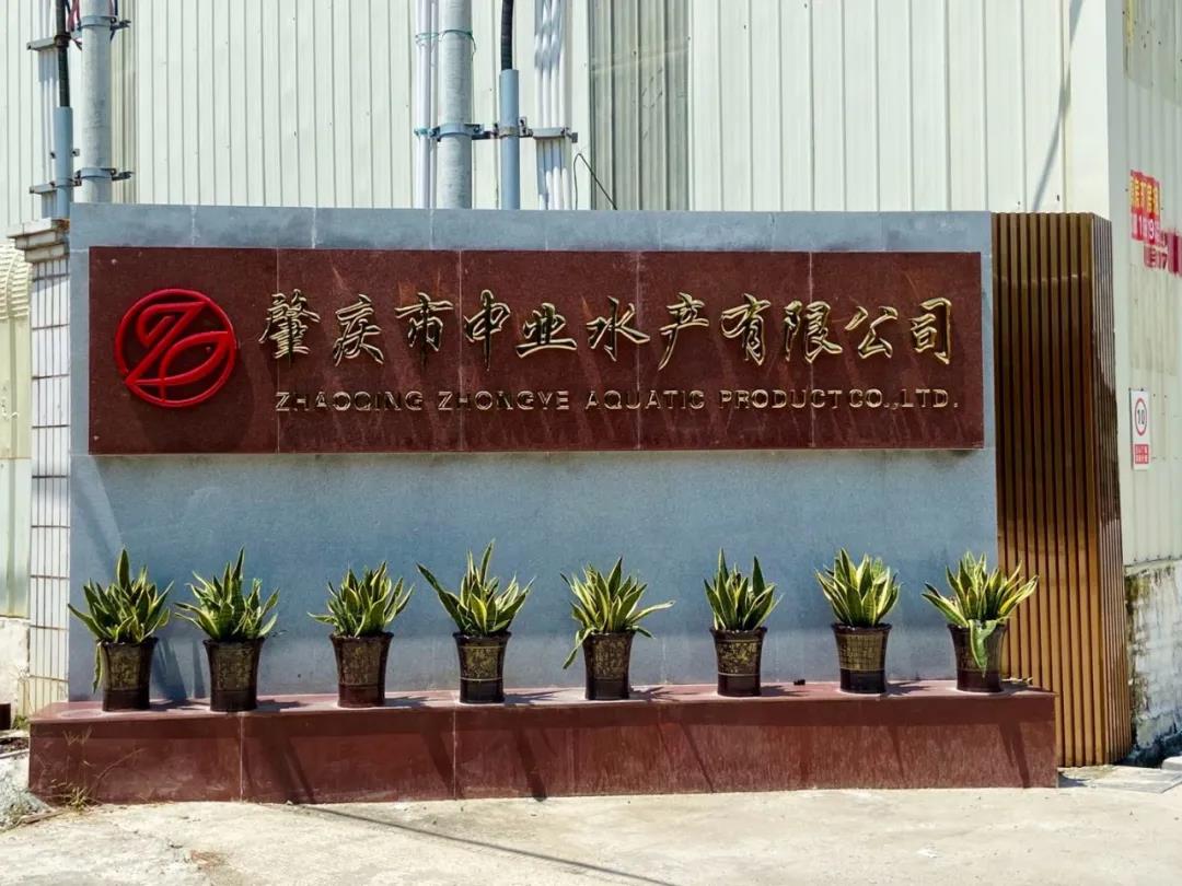 新势力鱼料,新兴长期大量收购罗非鱼