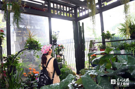 国庆亲子旅游景点推荐昆明,国庆旅游景点推荐昆明周边