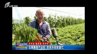 农民田间辛勤劳作喜迎首个丰收节,庆丰收让乡亲们的日子越过越红火