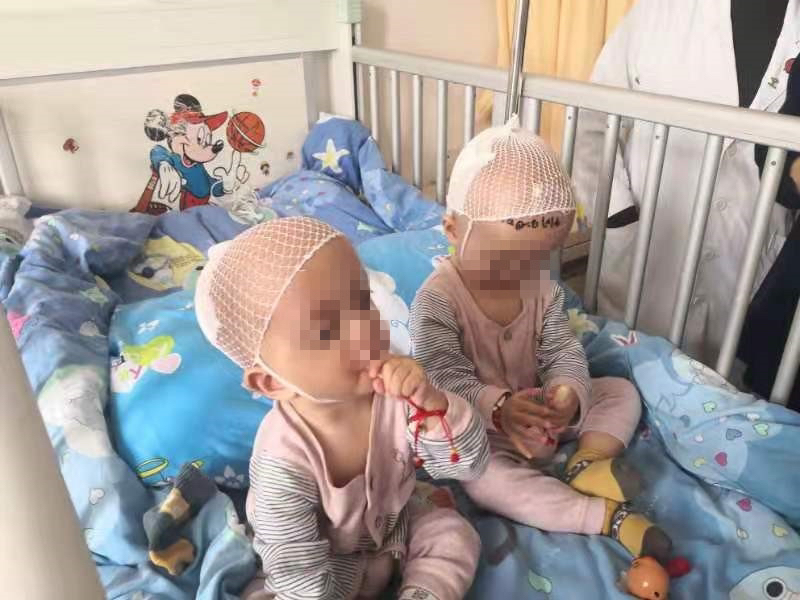 沪黔线上多方协作，重塑“蛙宝”美丽人生