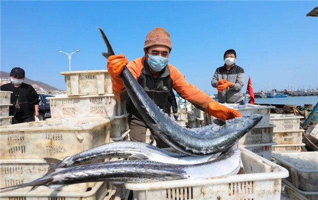 威海的海究竟有多美,威海的海到底有多美