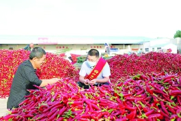 内蒙古农信金融服务,内蒙古农信惠民贷款