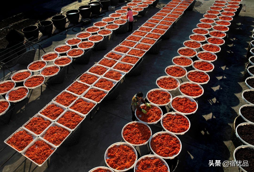 32张美景图片,苏州东山西山风景区哪个更值得去