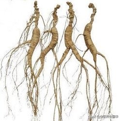人参红参高丽参怎么吃比较好,人参种类大全红参的用途