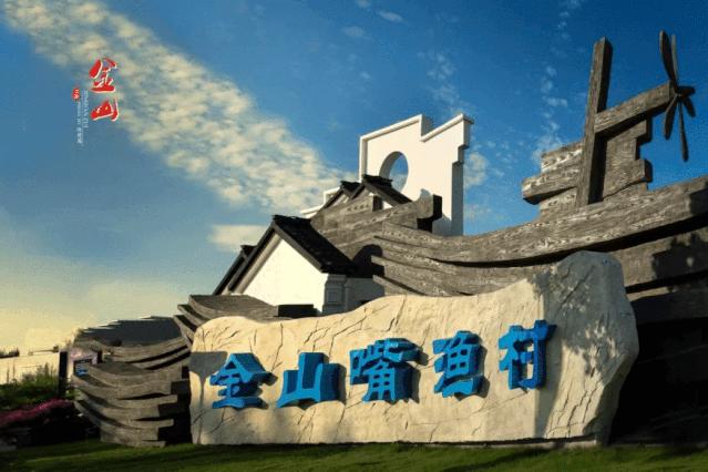 金山大金山岛开发,金山沙滩填海项目