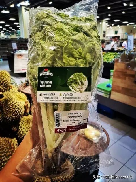 柬埔寨最大超市,柬埔寨金边日本永旺超市