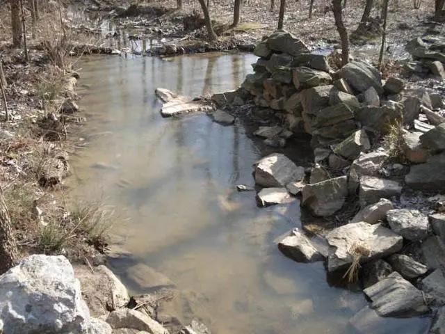 月亮思乡古诗100首,思乡的古诗句大全300首