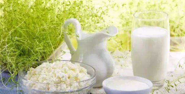 羊奶粉十大排名奶粉评测,羊奶粉最全评测