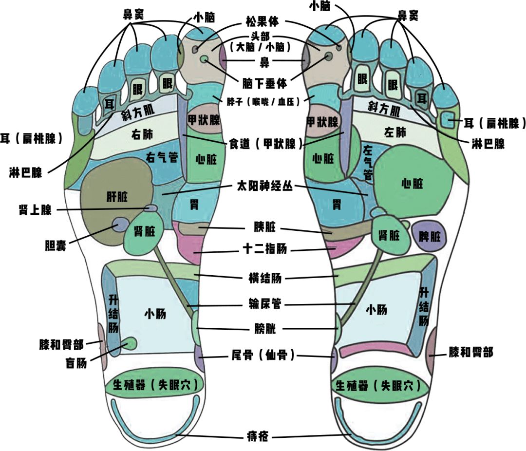 警惕你的脱发可能与它有关,脱发后变老变丑