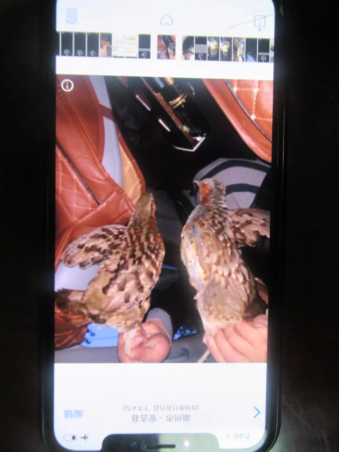 湖州公安向党和人民报告,湖州公安向党和人民报告直播