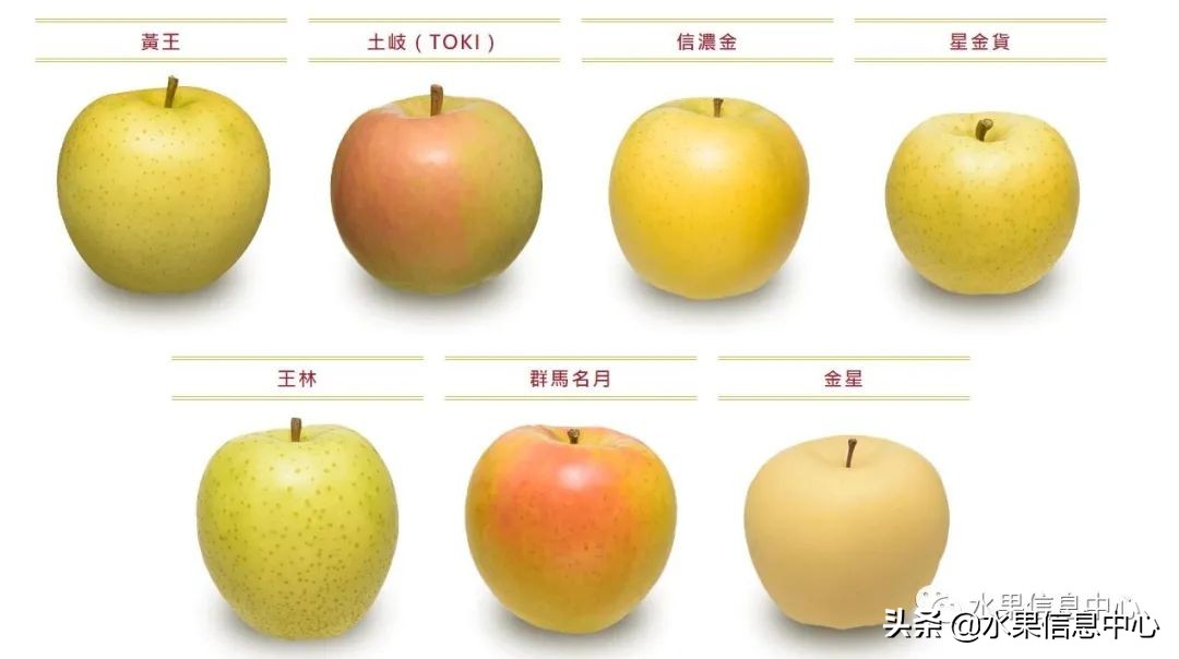 为什么日本苹果质量比中国的好,日本青森苹果种植