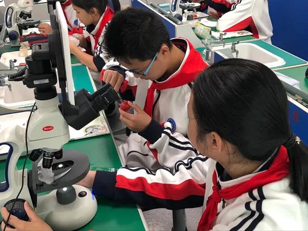 十三中分校老校区,十三中最好分校