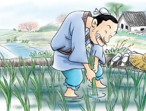 催婚讲的大道理,聊聊催婚那些事