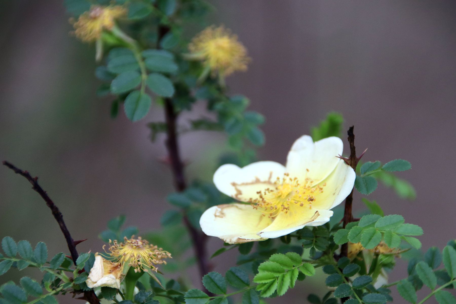 世上从来就没有什么救世主,人生从来没有救世主