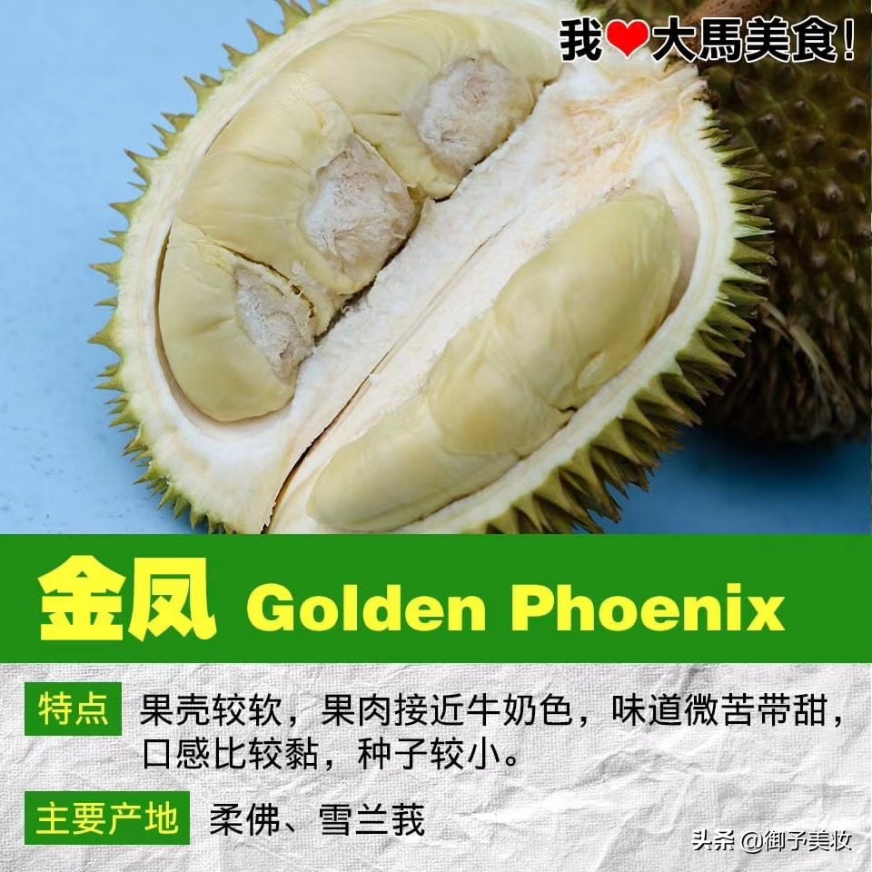 吃过马来西亚的榴莲,吃到马来西亚的黑刺猫山王