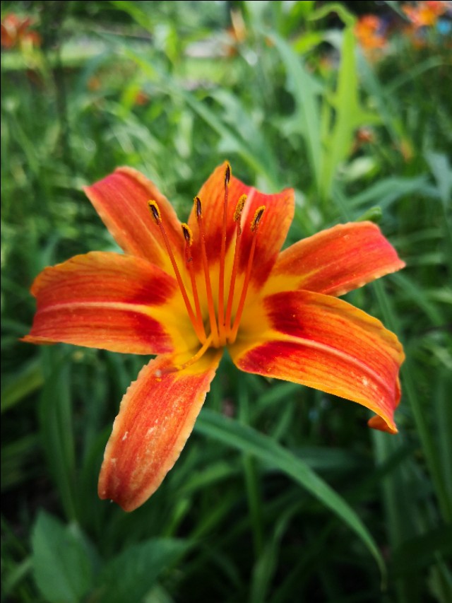 不抱怨一切靠自己读后感,不抱怨的世界读后感14篇