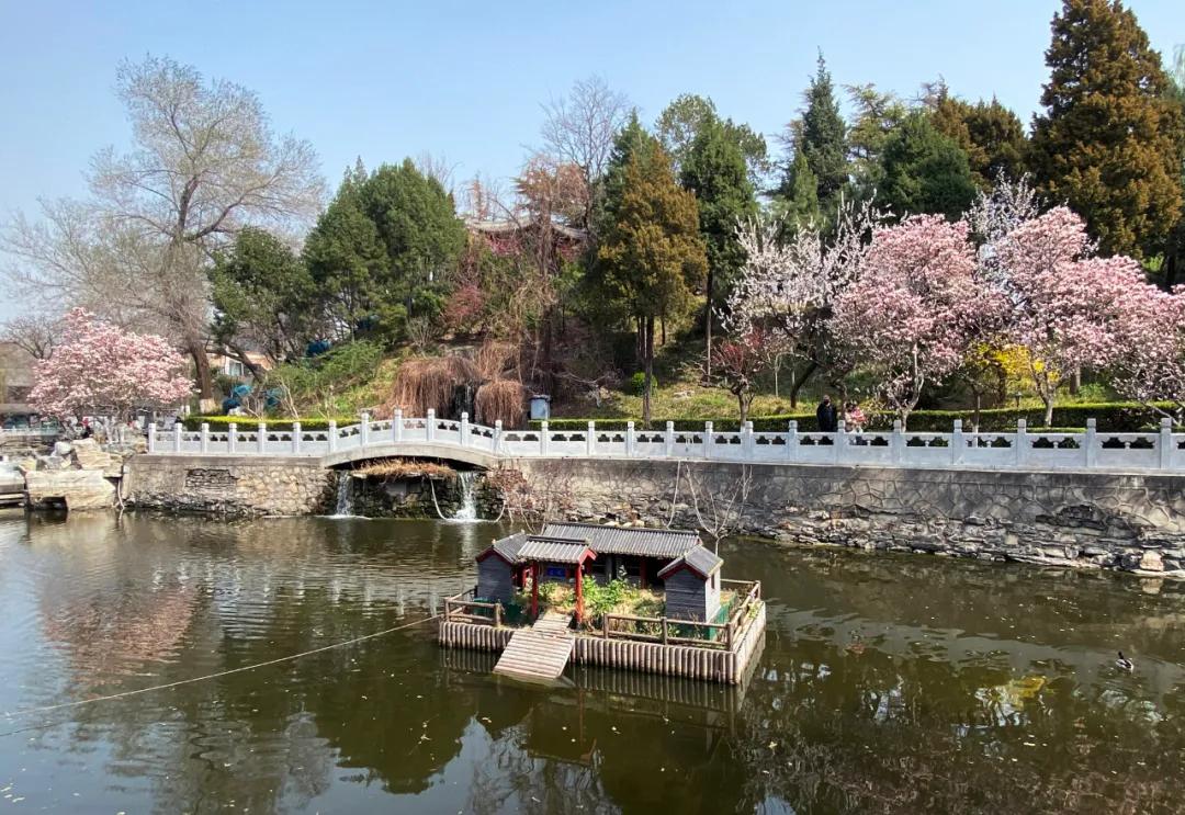 北京积水潭医院足踝外科好吗,北京积水潭足踝外科进修