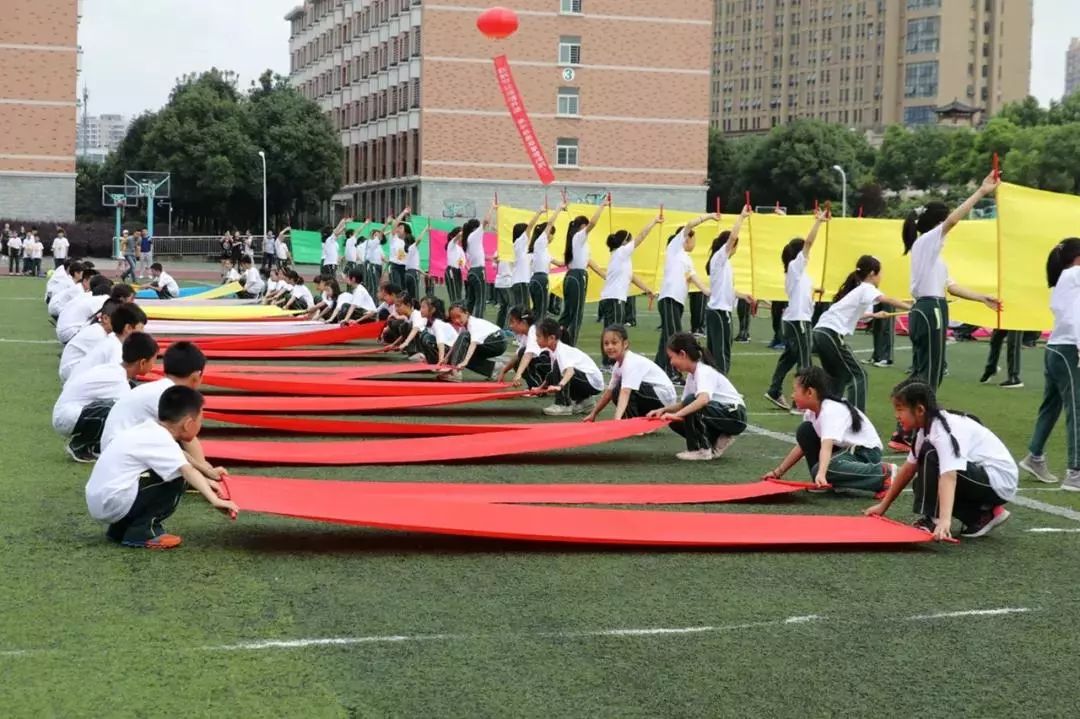 武汉最难进的十大小学,武汉最偏僻的985学校