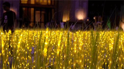 想拍“废片”都难！肇庆这些网红地也太好看了吧