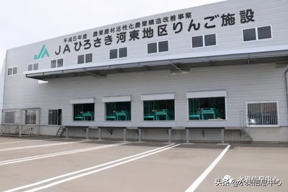 为什么日本苹果质量比中国的好,日本青森苹果种植