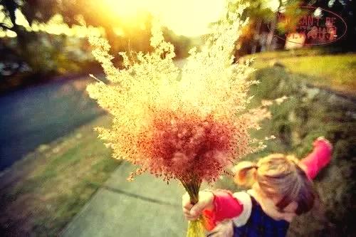 长寿5个微条件：微胖、微凉、微饿、微汗、微愚