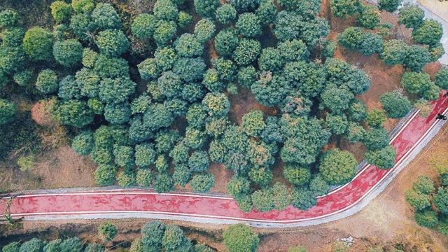 藏不住的双流,双流8500亩城市湿地公园