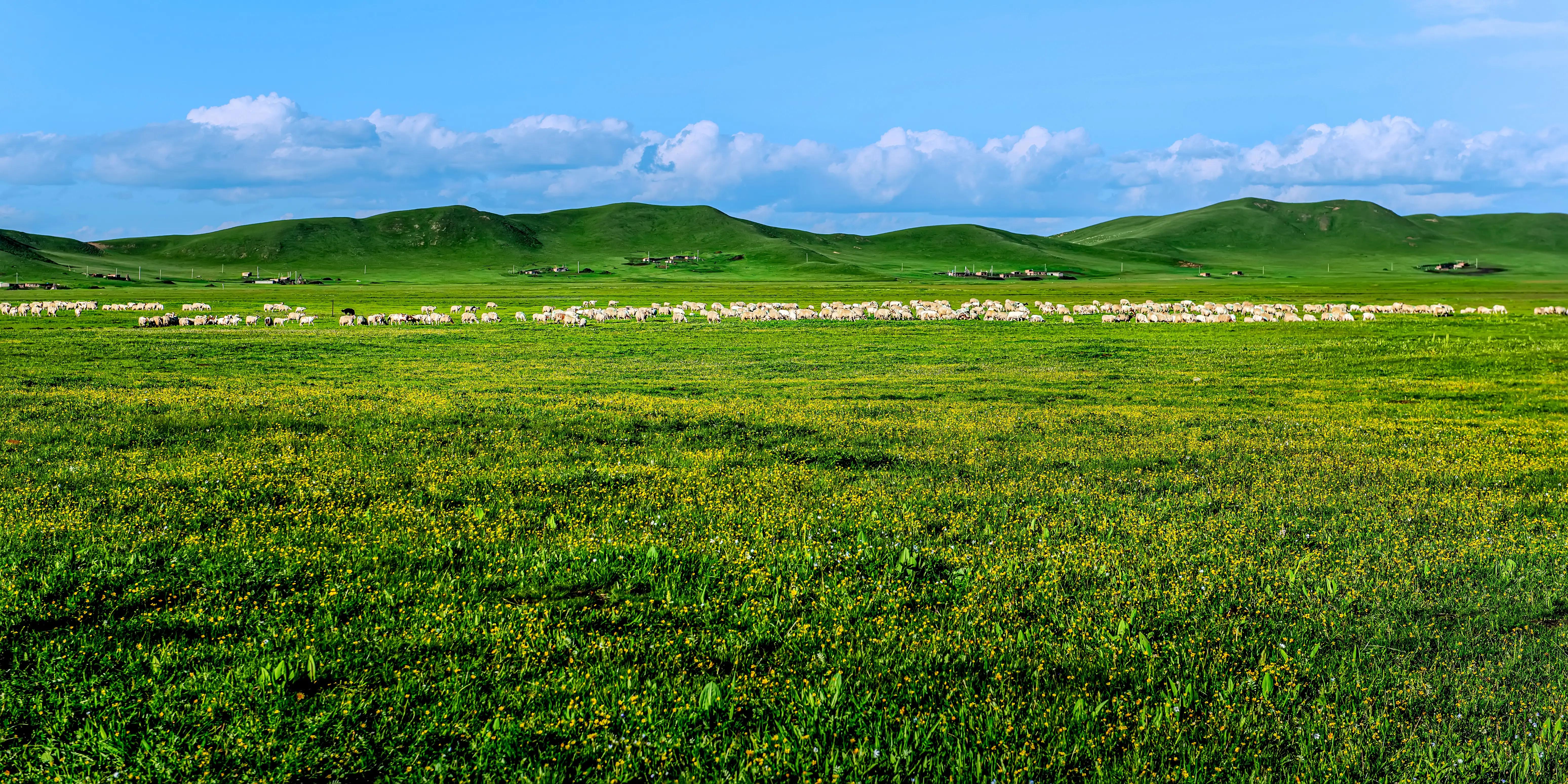 川西甘南十五日环线自驾游,甘南川西环游系列之四