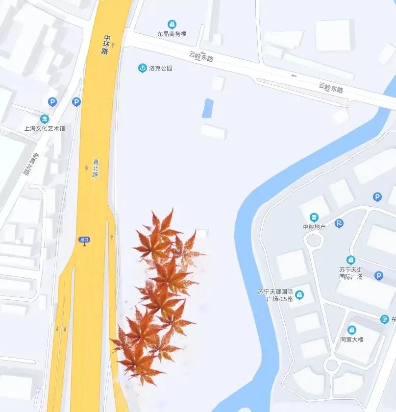 上海最美秋景,上海哪些公园可以拍秋景