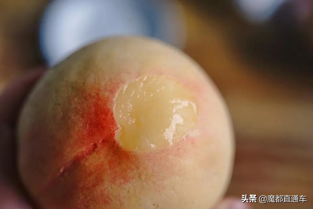 2019，在最好的时间，挑最好的地点，吃最好的食物！