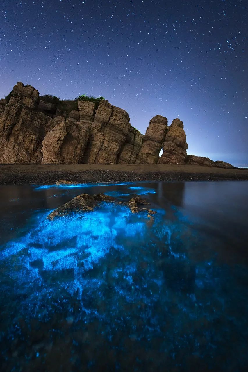 想去大连了,还有人想去大连吗