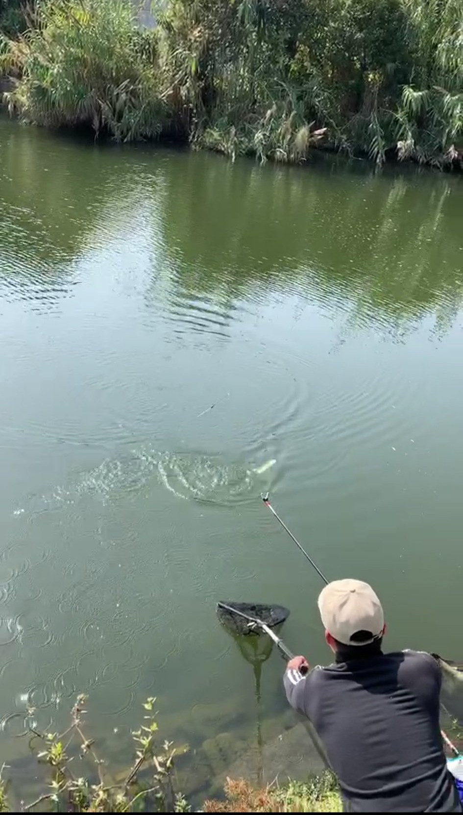 达瓦一击e并继竿使用感受,达瓦一击e并继竿价格