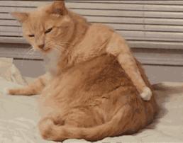 夏季妇科病的三种预防方法,夏天怎么预防妇科问题高发