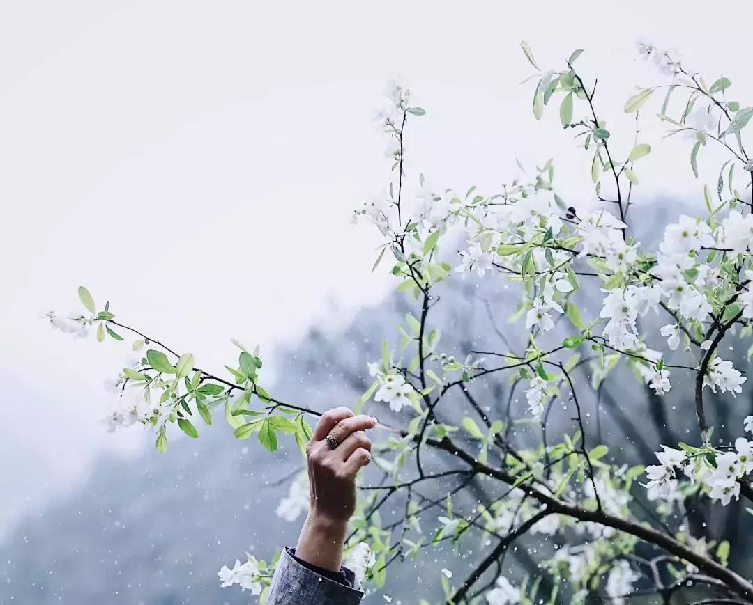 中医刘炳凡,中医刘炳凡治什么病