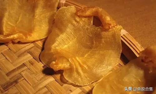 花胶一共有几种类型的品种,花胶种类中哪种最好