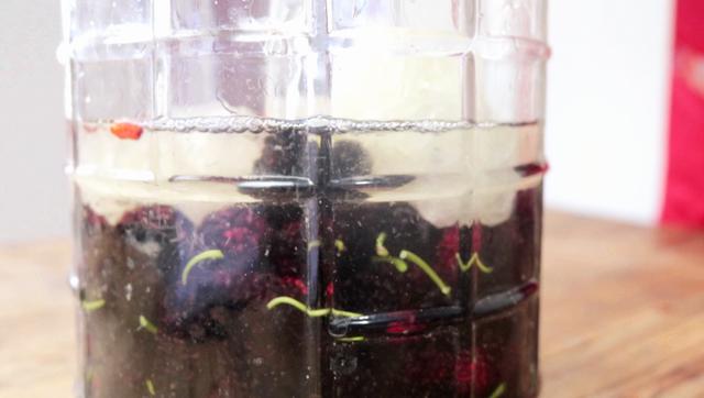 桑葚泡酒的正宗做法大全,桑葚泡酒的简单做法