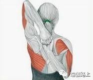 打通胳膊经络锻炼动作和方法,手臂经络不通松解法教程