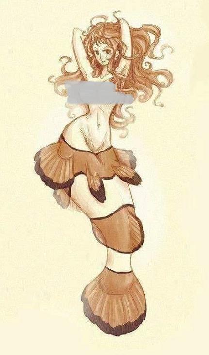 海贼王真人版娜美罗宾,娜美罗宾布鲁克变小