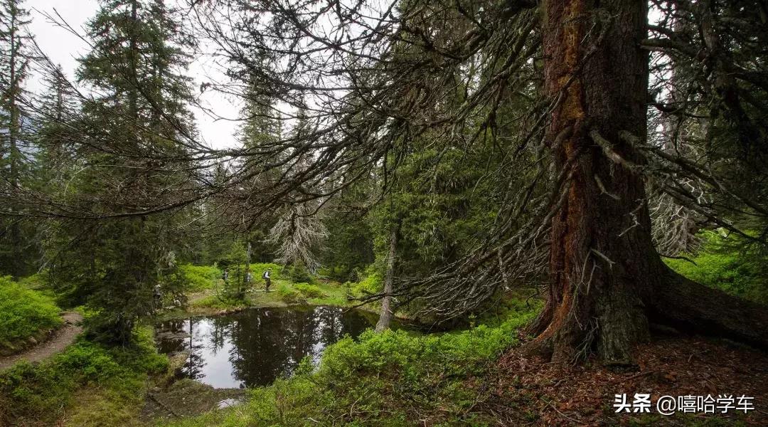 秘鲁的文化和风景,秘鲁历史文化古迹