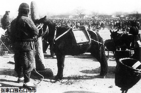 华夏民族为战马奋战千年，察哈尔张家口的马政文化