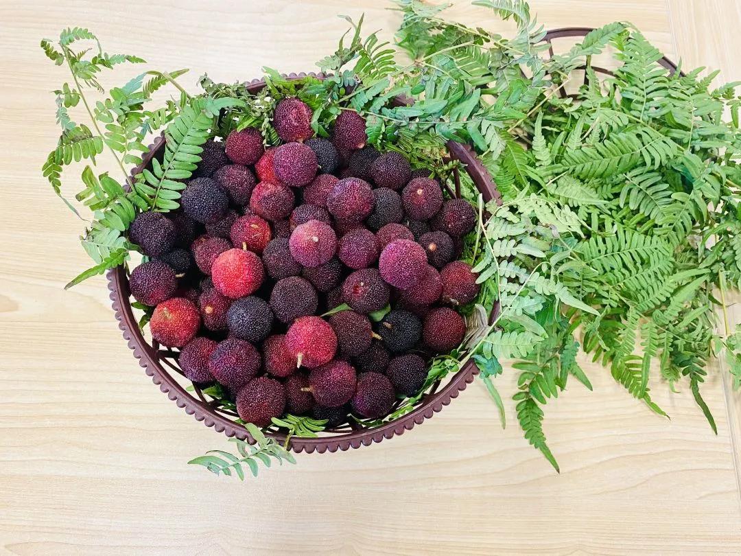 红了!红了!开采啦