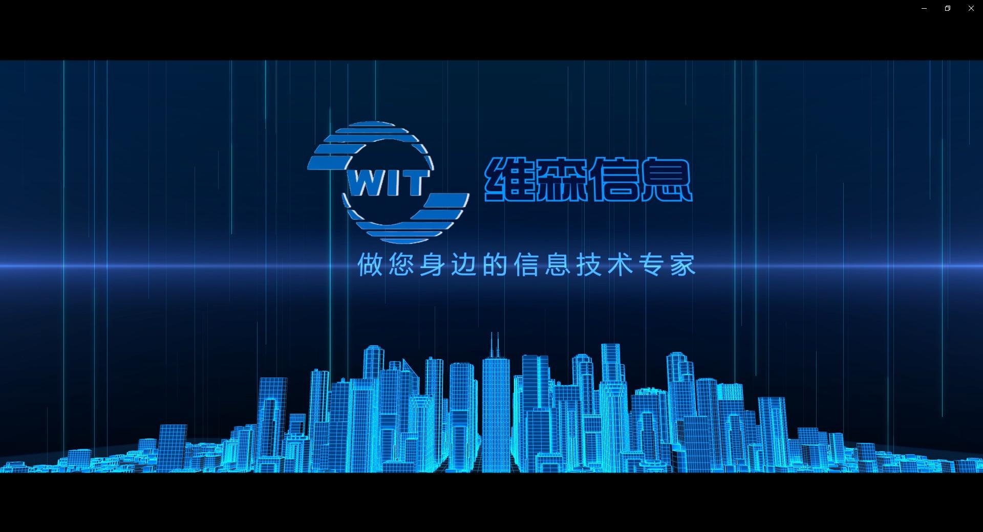 锦州维森,锦州维森集团有限公司