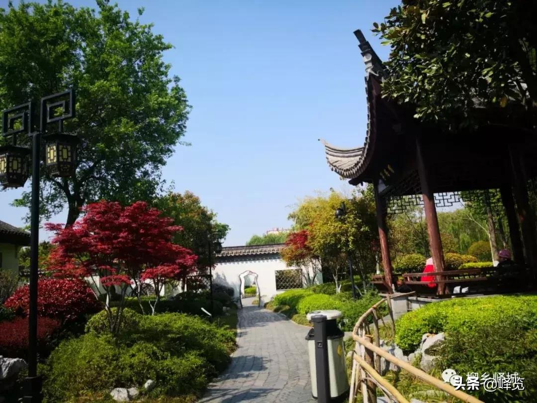 枣庄市党政考察团杭州行,临沂市考察团到济宁