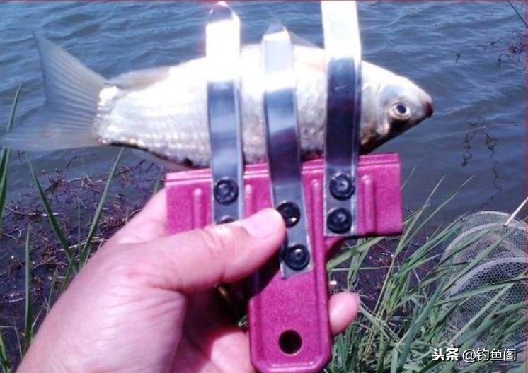 比较实用的钓鱼装备,钓鱼装备6件套