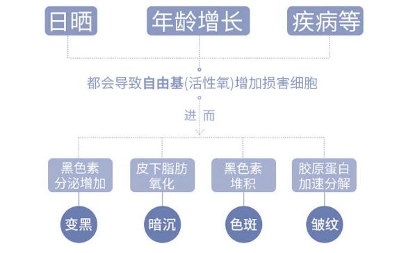cbd护肤品是真的吗,汉麻cbd护肤品怎么样